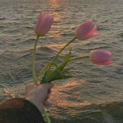 Kaiyun·开云体育手机app下载